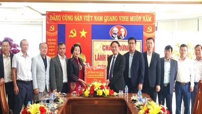 Gia Lai посилює управління міським навколишнім середовищем.
