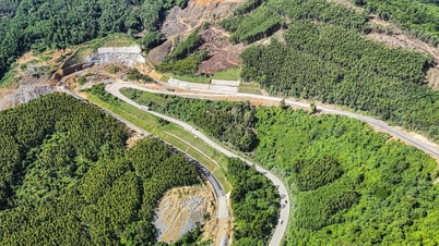 Autopista Quy Nhon-Pleiku: la limpieza del terreno para los primeros 22 km se completará en marzo de 2026.