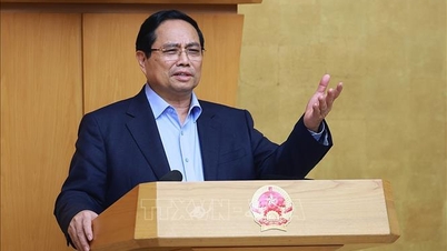Premiärminister Pham Minh Chinh ledde ett möte för att utvärdera situationen under det kinesiska nyåret 2016.