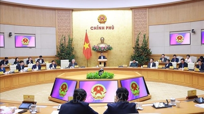Premier Pham Minh Chinh: Musimy zacząć działać natychmiast, od pierwszego dnia po święcie Tet.