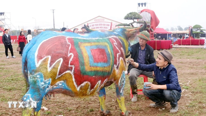 A Doi Son Tich Dien Fesztivál Buffalo Dekorációs Festőversenyének legfontosabb eseményei