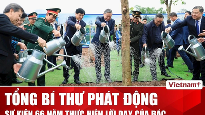 Uroczystość otwarcia „Festiwalu Sadzenia Drzew” odbyła się jednocześnie w różnych miejscach Hanoi.