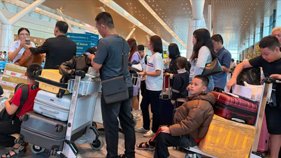 Pada tanggal 22 Februari, Bandara Tan Son Nhat menangani 1.069 penerbangan dengan lebih dari 177.000 penumpang.