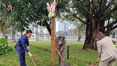 O Cho Dua Ward lanserer vårens treplantingsfestival i hestens år (2016).