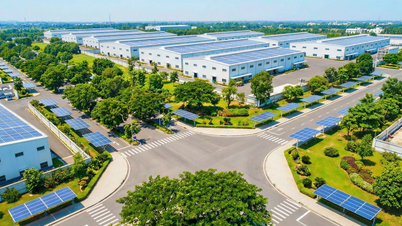 Infraestructura verde para la era digital en el sur de Da Nang