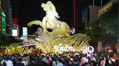 गुयेन ह्यू फ्लावर स्ट्रीट में 18 लाख से अधिक आगंतुक आए।