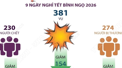 2026년 설 연휴 기간 동안 교통사고 발생 건수가 급격히 감소했습니다.