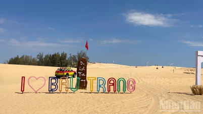 Lam Dong eyaletindeki kıyı turizmi, Ay Yeni Yılı tatili boyunca ziyaretçi çekmektedir.