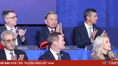 Vietnam gör praktiska bidrag till att upprätthålla freden i världen.
