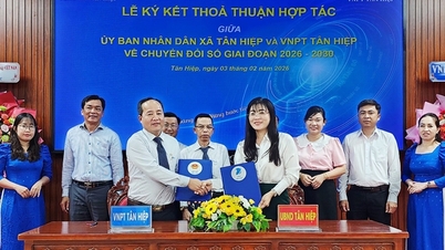 تتعاون كل من بلدية تان هيب ومنظمة VNPT تان هيب في مجال التحول الرقمي.