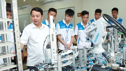 يجب أن تصبح الجامعات مراكز للتدريب والبحث والابتكار.