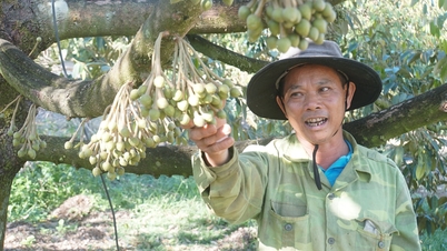 រដូវផ្ការីកមកដល់កណ្តាលសួនច្បារដែលកំពុងរីកពេញទី។