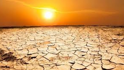 Proactive response to saltwater intrusion, drought, and forest fires.
