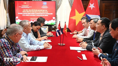 Vietnam y Cuba fortalecen cooperación en el ámbito editorial.