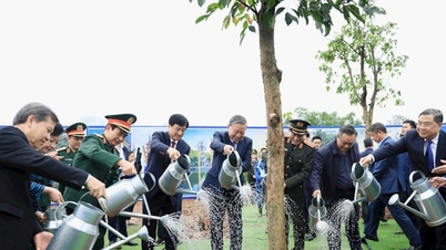Notícia especial no jornal Hanoi Moi, 23 de fevereiro de 2026.