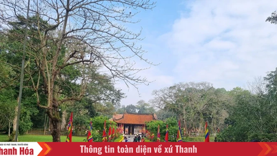 वसंत ऋतु के शुरुआती दिनों में बड़ी संख्या में पर्यटकों ने लाम किंग राष्ट्रीय विशेष ऐतिहासिक स्थल का दौरा किया।