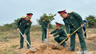 La « Fête de la plantation d'arbres » est une belle pratique culturelle traditionnelle.