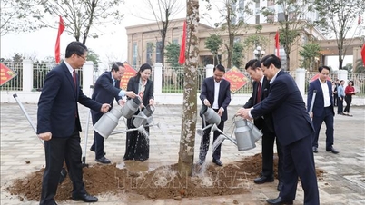 Planting trees in remembrance of Uncle Ho, creating a 'green lung' and building a heritage city.