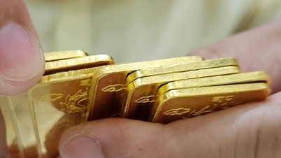 Το πρωί της 23ης Φεβρουαρίου, η τιμή του χρυσού αυξήθηκε κατά 1,6 εκατομμύρια VND ανά τάελ, ενώ και η τιμή του ασημιού εκτοξεύτηκε.