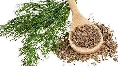 Tanaman herbal ini, yang biasa dijual di pasar, secara tak terduga memiliki banyak kegunaan yang berharga.