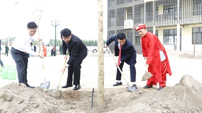 Phuong Lieu Ward: Over 450 timber trees and fruit trees of various types have been newly planted.