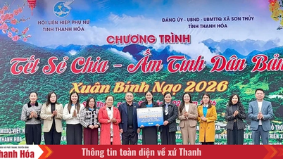 Compassionate Tet - A Spring of Warmth and Micro-Inspiration