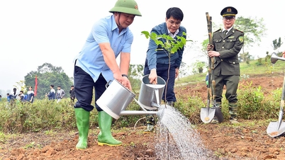 Lancement du « Festival de plantation d'arbres en reconnaissance éternelle envers le président Hô Chi Minh » et du mouvement d'émulation pour 2026.
