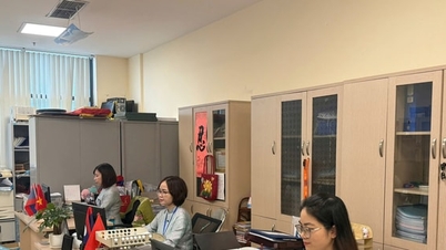Ngoc Ha Ward gaat direct na Tet proactief weer aan het werk.