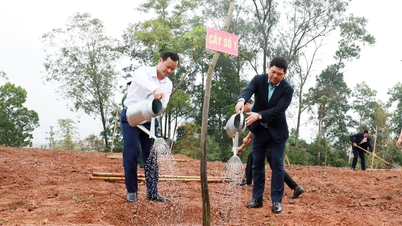 Provincial Party Secretary Nguyen Hong Thai attends the tree planting festival in Yen The commune.