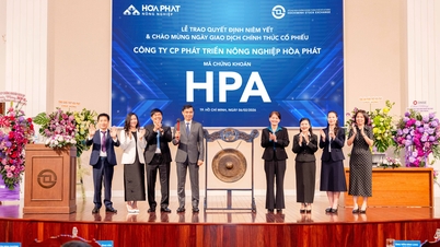 285 Millionen HPA-Aktien sind offiziell an der HOSE notiert.