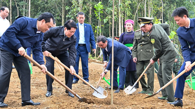President Luong Cuong: Fortsätt att fördjupa och göra trädplanteringsrörelsen mer konkret.
