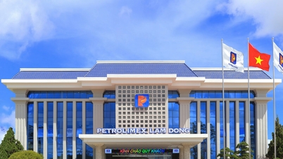Petrolimex Lâm Đồng - Nửa thế kỷ vững bước