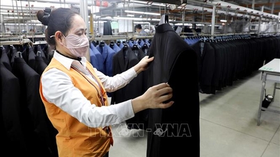 Grande expectativa de produção no início da primavera – Prevê-se um ano de forte crescimento.