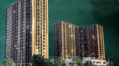 Mais de 1,2 trilhão de VND foram investidos no projeto de habitação social TNG Viet Bac.