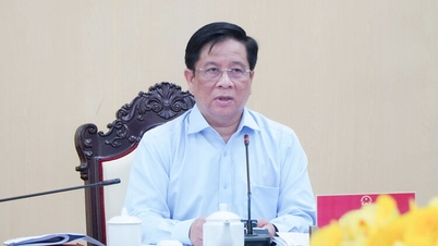 An Giang: A választási előkészületek a tervek szerint haladnak, és a jelöltek jogosultsági kritériumait alaposan felülvizsgálják.