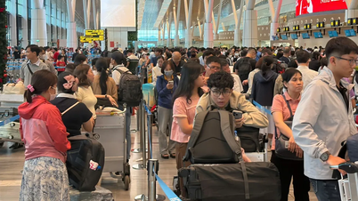 Le 23 février, l'aéroport de Tan Son Nhat a géré 1 038 vols transportant plus de 171 000 passagers.