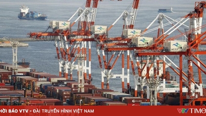 Las economías asiáticas buscan formas de responder a los nuevos aranceles de Estados Unidos.