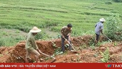 តើដីដែលត្រូវបានទាមទារយកមកវិញនៅឆ្នាំ ២០២៥ នឹងត្រូវបានទទួលស្គាល់ថាមានសិទ្ធិប្រើប្រាស់ដីធ្លីដែរឬទេ?