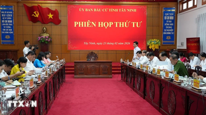 National Assembly and People's Council elections: Thorough preparation from the grassroots level.