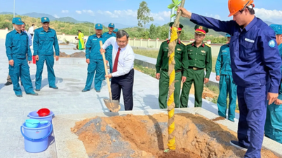 Nam Cam Ranh kommune lanserer «Treplantingsfestival i evig takknemlighet til president Ho Chi Minh» i 2026