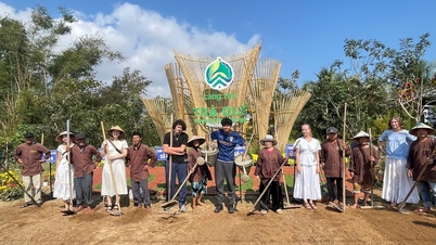 Das Trà Quế Blumenfestival ist voller Leben.