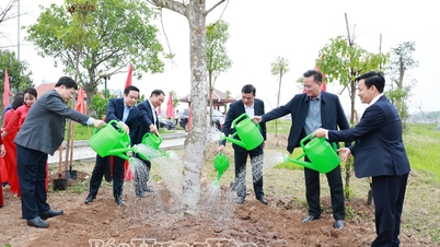 İl Halk Komitesi, 2026 At Yılı Baharında "Başkan Ho Chi Minh'e Sonsuz Şükran Ağaç Dikme Festivali"ni başlattı.