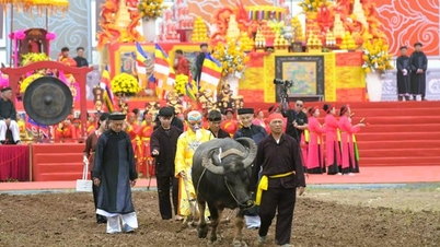 El secretario del Partido de la provincia de Ninh Binh se une a la ceremonia de arado en el festival Tich Dien 2026.
