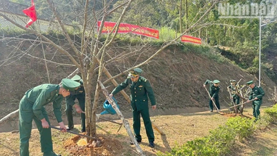 Le commandement des gardes-frontières de Son La lance un festival de plantation d'arbres dans l'ensemble de ses effectifs.