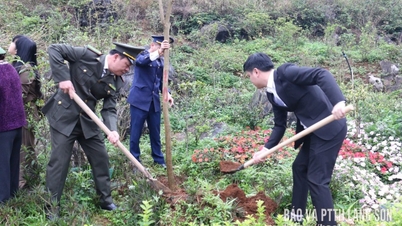 The wards of Ky Lua, Tam Thanh, and Luong Van Tri launched the "Tree Planting Festival in Eternal Gratitude to Uncle Ho" in the Spring of the Year of the Horse 2026.