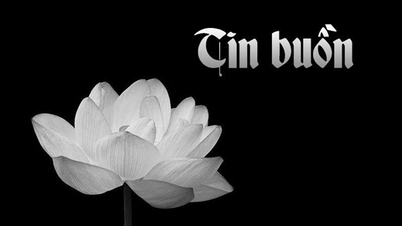 Triste noticia: el coronel Phan Bao ha fallecido.