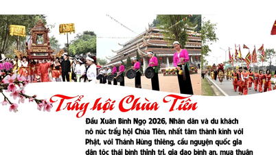 Tien Pagoda Festivali'ni ziyaret etmek