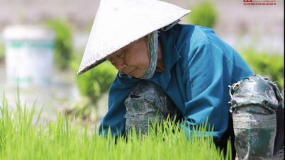 Farmers in the outskirts of Hanoi excitedly head to the fields on the first day of the new year.