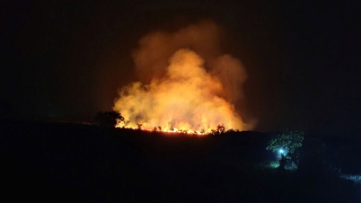 Bosbrand in het Phu My-gebied, een beschermd natuurgebied voor soorten en hun leefomgeving.