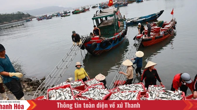 ឆ្នេរងីសើនមានភាពអ៊ូអរនៅដើមឆ្នាំ។